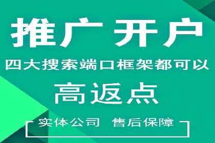 百度竞价代运营实战案例分析